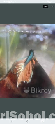 Copper musturd gas fighter